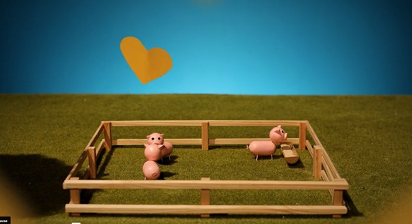 Niels - Partij v.d. Dieren