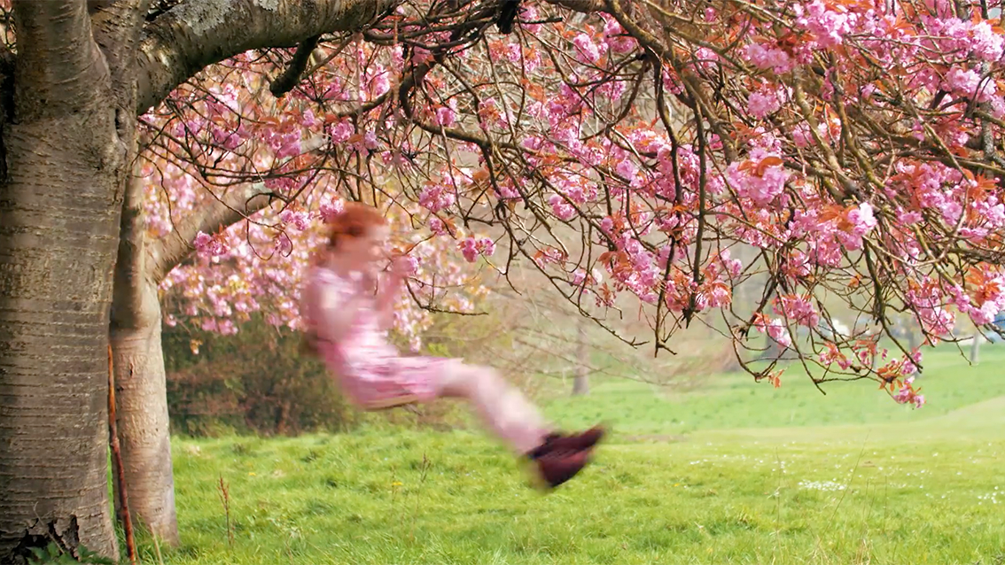 Cherry Blossom Joseph Ford